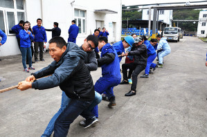 迎新年 拔河比赛